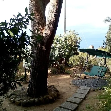 Il Vigneto Bed & Breakfast