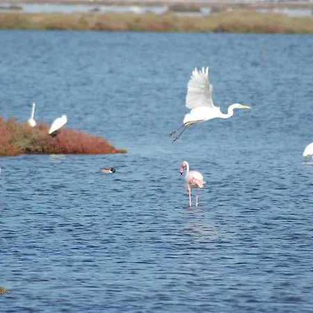 Bed & Breakfast Il Vigneto