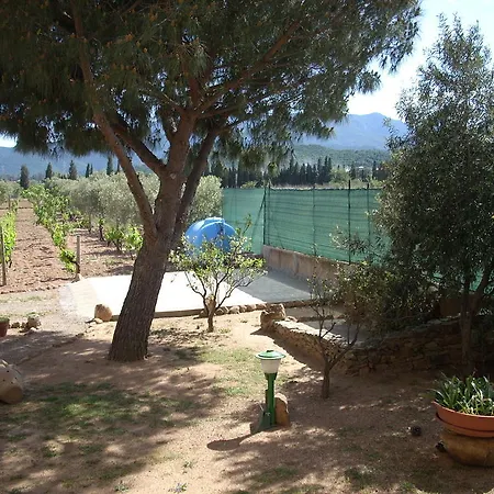 Il Vigneto Bed & Breakfast