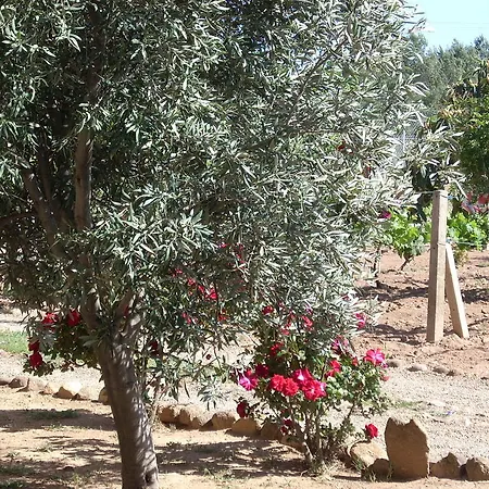 Bed & Breakfast Il Vigneto 3*