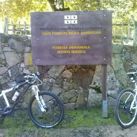 Bed & Breakfast Il Vigneto 3*