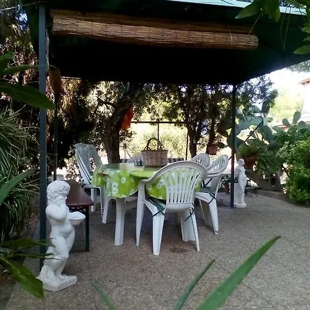 Il Vigneto
