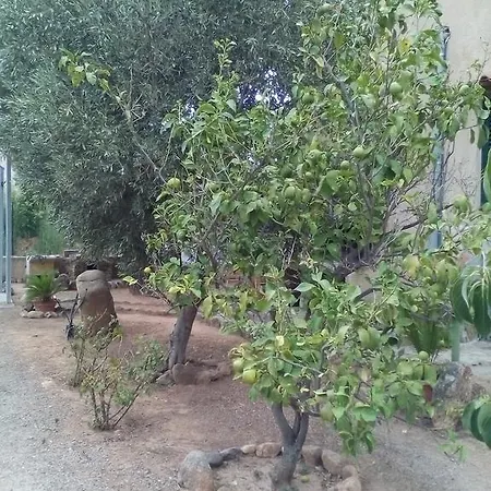 Alojamento de Acomodação e Pequeno-almoço Il Vigneto