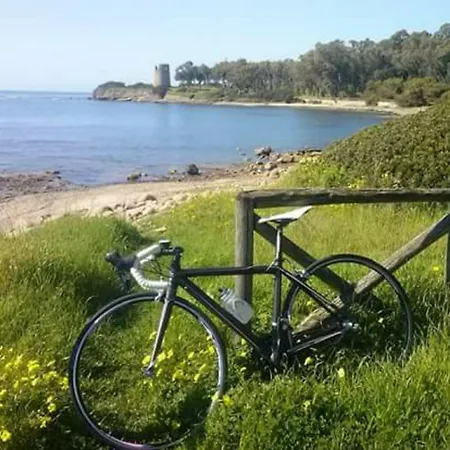 Il Vigneto