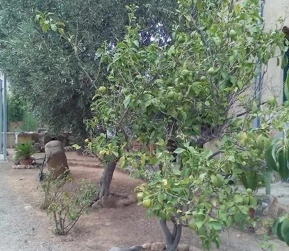 فندق مبيت وإفطار Il Vigneto