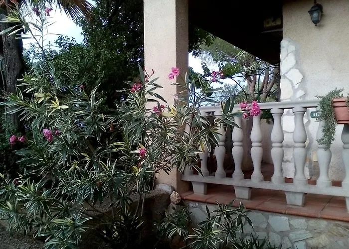 فندق مبيت وإفطار Il Vigneto كابوتيرا