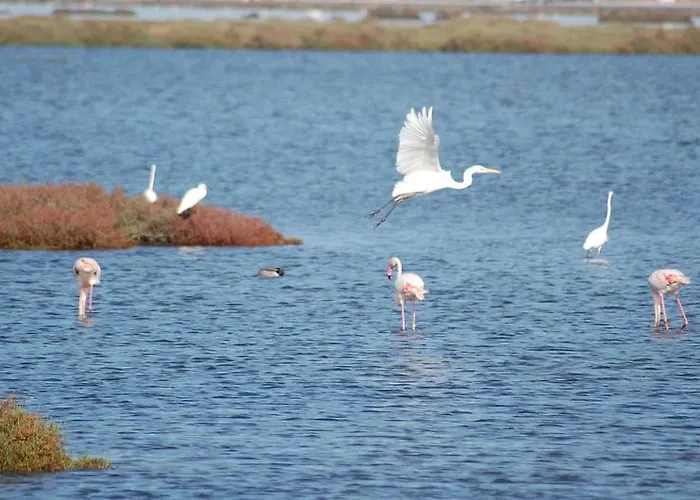 فندق مبيت وإفطار Il Vigneto